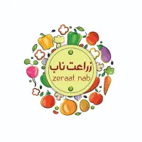 پاپریکا اعلا صادراتی