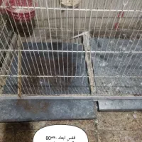 انواع قفس پرندگان