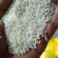 برنج سوناماسوری درجه یک