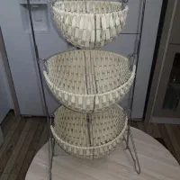 جاسیب زمینی