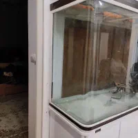 آکواریوم بزرگ شرکت ماهیران|ماهی|مشهد, فارغ التحصیلان|دیوار