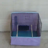 قفس پرنده