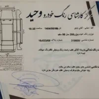 206تیپ 2|خودرو سواری و وانت|گمیشان, |دیوار