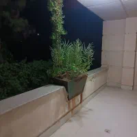 سویت آپارتمان مبله ساعتی روزانه|اجارهٔ کوتاه‌مدت آپارتمان و سوئیت|شیراز, حومه شیراز|دیوار