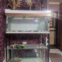 آکواریوم بزرگ|ماهی|صدرا-فارس, فاز ۱|دیوار