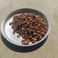 رطب کبکاب بهبهان