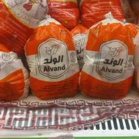 مرغ تازه ۲۹۰