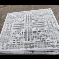 فروش پالت پلاستیکی ابعاد ۱۱۰*۱۳۰. محکم و مقاوم