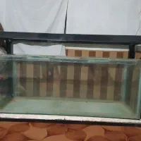 اکواریوم 10 میل سفارشی