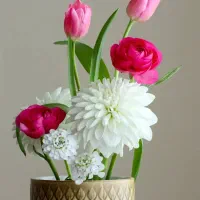 نیروخدمات خانم واقا