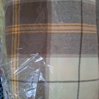 پتومسافرتی