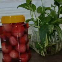 ترش و شیطون|خوردنی و آشامیدنی|تهران, دولاب|دیوار