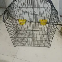 قفس پرنده