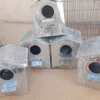 لونه فنج فلزی