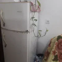 لوازم خانه|یخچال و فریزر|تالش, هشتپر|دیوار