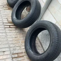 لاستیک بارز ۶۰درصد