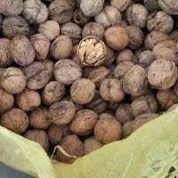گردو|خوردنی و آشامیدنی|ماکو, |دیوار