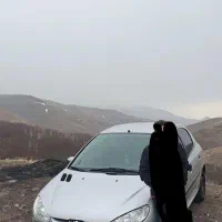 206 مدل 83