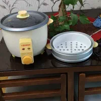 پلوپز و بخار پز|اجاق گاز و لوازم برقی پخت‌وپز|کرج, مصباح|دیوار