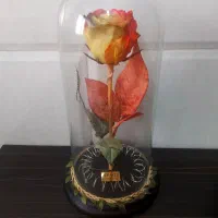 گل شیشه ای|گل مصنوعی|قم, حقیقت|دیوار