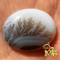 نگین های شجر