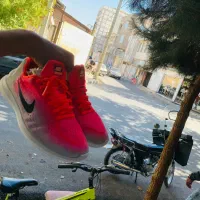 نایک اورجینال