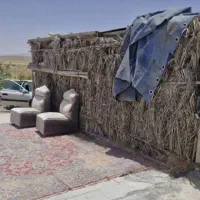 باغ پسته در جاده صحرارود