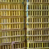 قفسه‌مرغ|لوازم جانبی حیوانات|دیواندره, |دیوار