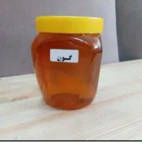 عسل درجه یک آزمایش شده|خوردنی و آشامیدنی|قرچک, میرزائی جنوبی|دیوار