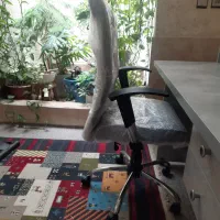 صندلی چرخ دار