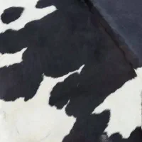 پ وست دباغی شده گاو|فرش|مشهد, هنرستان|دیوار