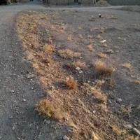 زمین مسکونی منظر