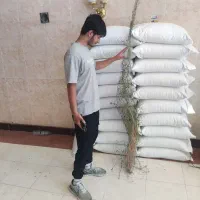 بذریونجه‌قره‌یونجه