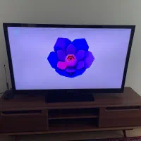 تلویزیون سونی ۴۶ اینچ|تلویزیون و پروژکتور|رشت, کاکتوس|دیوار