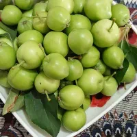 سیب ترش مصری تازه