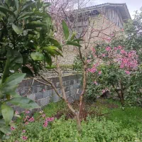 زمین-مسکونی-523-متری-بافت-روستایی-بندرگز-متری-3-7