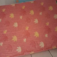 تشک ۲نفره و ۱ نفره