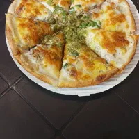 پیک موتوری بدون موتور راننده فقط