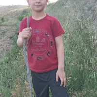 مدهنی