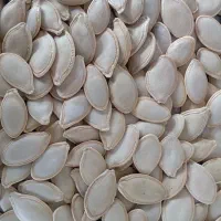کارگر ساده|استخدام صنعتی، فنی، مهندسی|سنندج, |دیوار