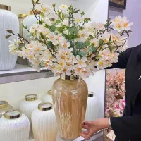 آباژور ( ورق بزنید )