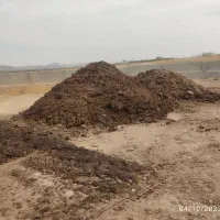 خرید وفروش کودمرغ تخمگذار