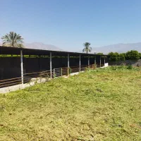 مژدگانی دریافت کنید