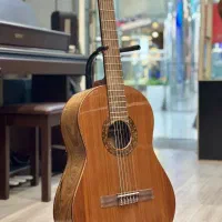 گیتارهای دوریس