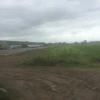 زمین ۱۰۰۰ متری داخل بافت سرخ رود(روستای گل محله)|فروش زمین و ملک کلنگی|سرخرود, |دیوار