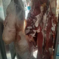 دنده آبگوشتی گوشت|خوردنی و آشامیدنی|هشتگرد, شهرک ولیعصر (مصلی)|دیوار