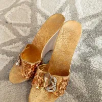 صندل مجلسی، کفش مجلسی