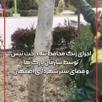 رنگ محافظ تنه درخت / سرمازدگی ، رطوبت و قارچ|خدمات باغبانی و درختکاری|لاهیجان, شیخ زاهد|دیوار