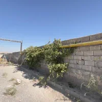 گلخانه 2000متری در خسروشاه|فروش دفتر صنعتی، کشاورزی، تجاری|خسروشاه, |دیوار