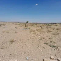 زمین باغی خوش قیمت معاوضه با ماشین هم دارم|فروش زمین و ملک کلنگی|مبارکه, |دیوار